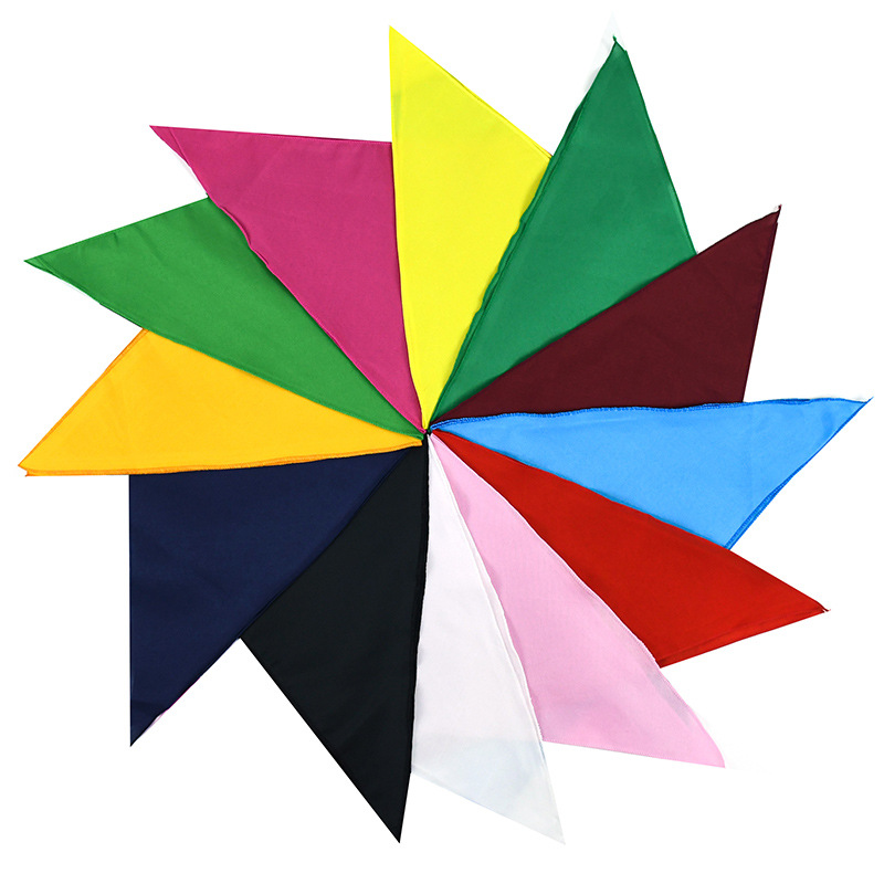 Foulard triangulaire personnal - Pet Portrait Custom avis et prix
